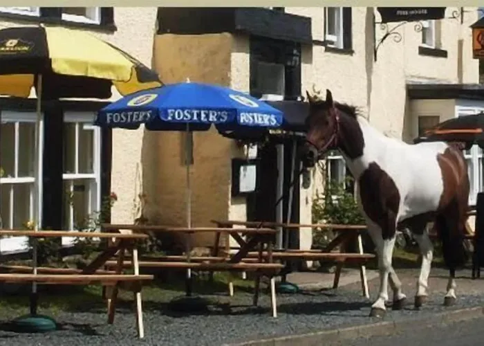 Hotel Oyo Rose & Crown Hotel Bainbridge